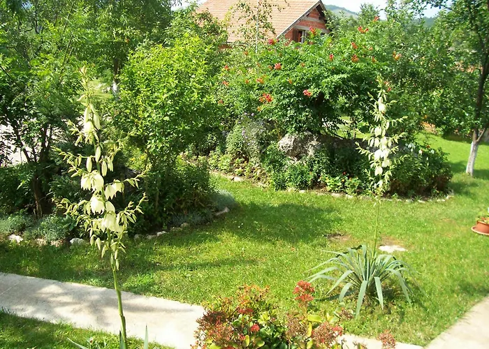 House Zlatko