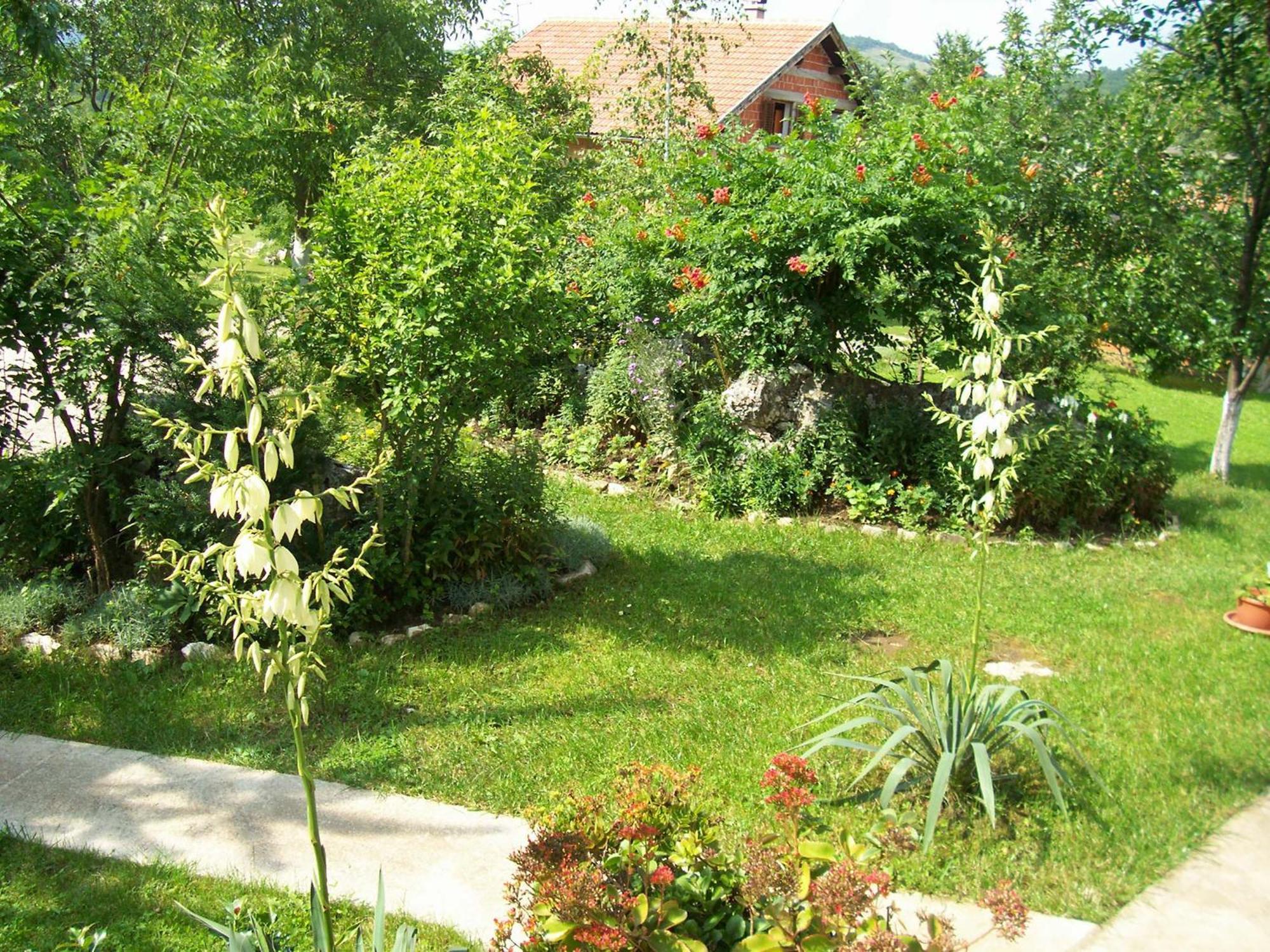 House Zlatko *
