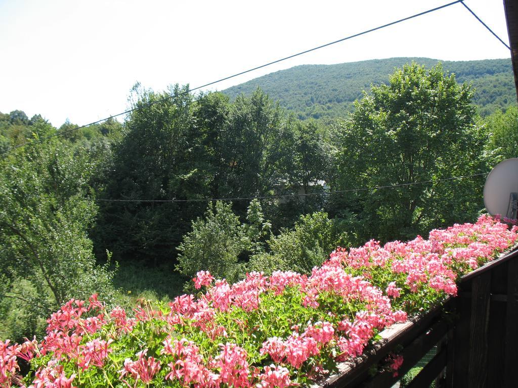 Country house House Zlatko Seliste Dreznicko