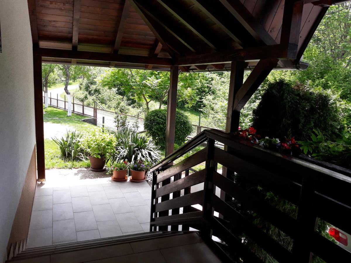 Country house House Zlatko Seliste Dreznicko